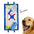 Série de jeux de plage - balles éducatives interactives pour chiens