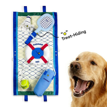 Série de jeux de plage - balles éducatives interactives pour chiens