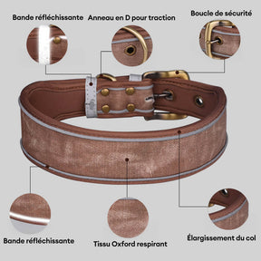 Collier pour chien en fausse microfibre douce réfléchissante imprimée