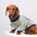 T-shirt col rond pour chiot en tissu respirant et fin