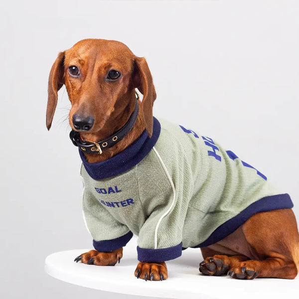 T-shirt col rond pour chiot en tissu respirant et fin