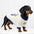 T-shirt col rond pour chiot en tissu respirant et fin
