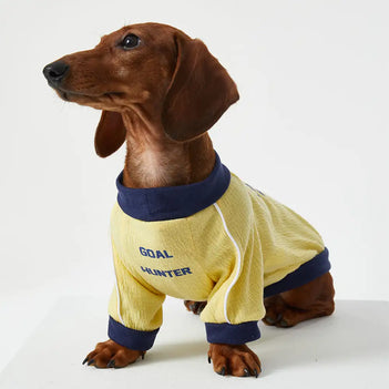 T-shirt col rond pour chiot en tissu respirant et fin