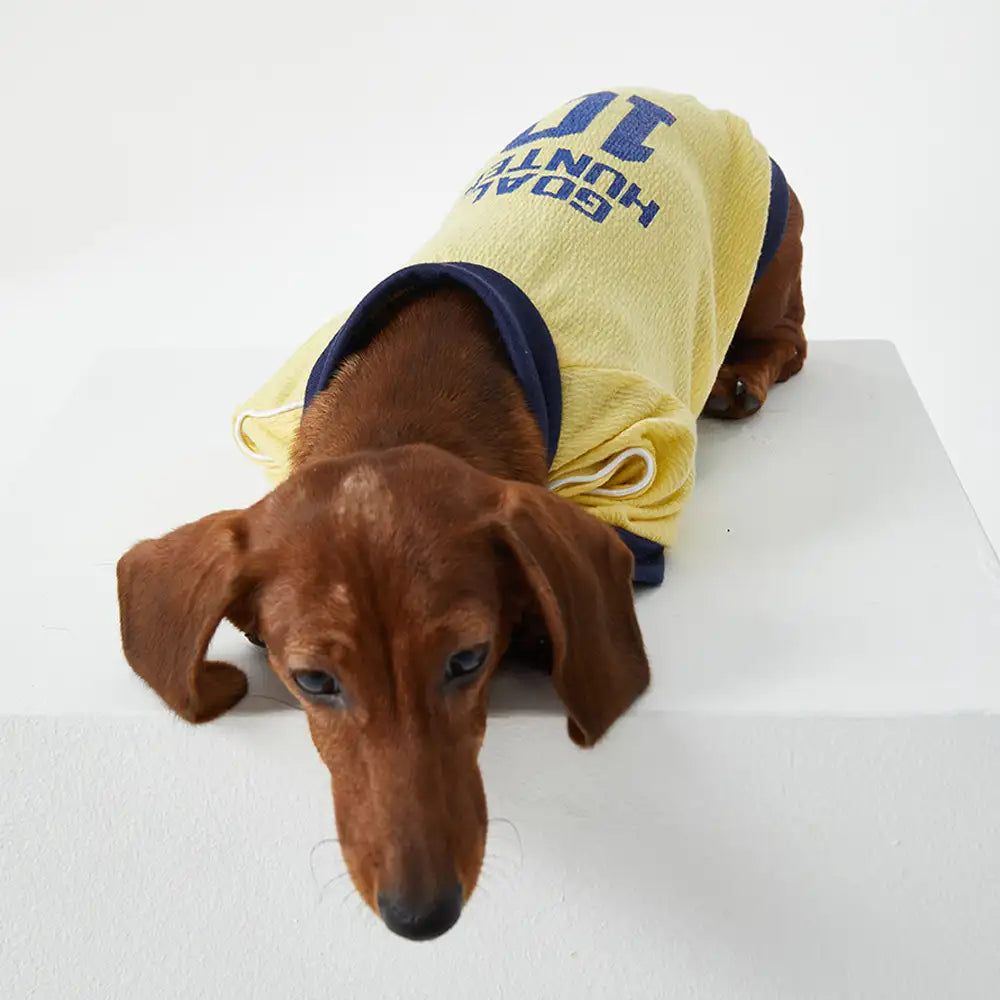 T-shirt col rond pour chiot en tissu respirant et fin