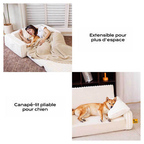 Lit orthopédique moelleux et crémeux pour chien et homme confort extensible