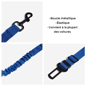 Ceinture de sécurité ajustable pour chien