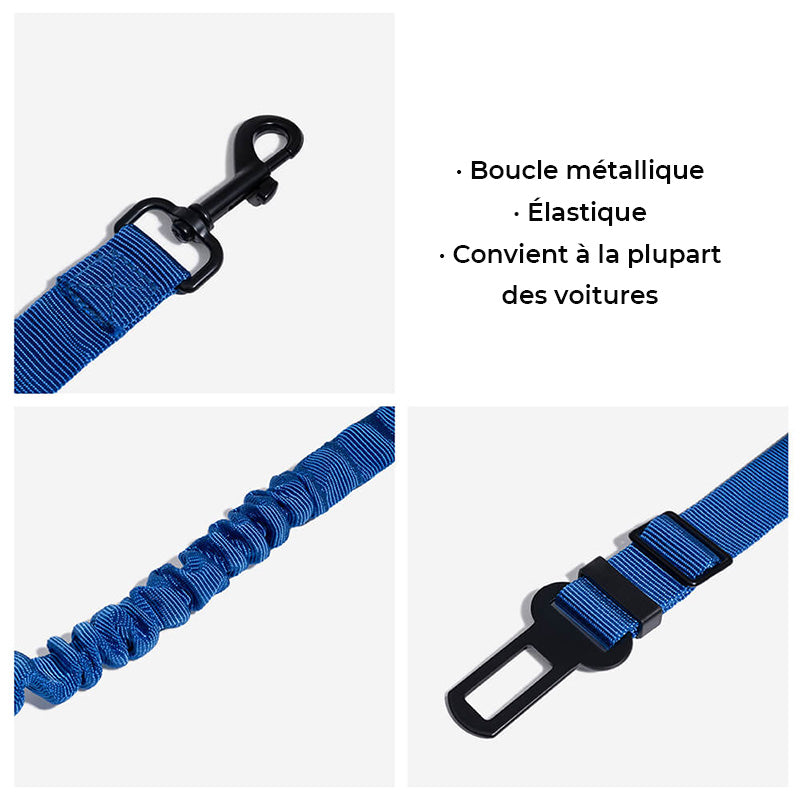 Ceinture de sécurité ajustable pour chien