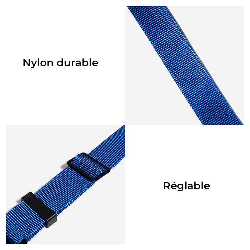 Ceinture de sécurité ajustable pour chien