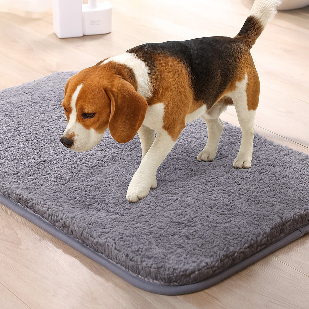Tapis de porte pour animaux en peluche épaisse absorbant et résistant à la boue pour pattes sales