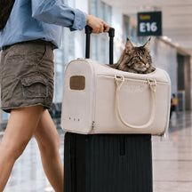 Transporteurs souples conformes aux règles des compagnies aériennes pour chats - Urban Roaming