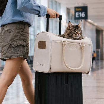 Transporteurs souples conformes aux règles des compagnies aériennes pour chats - Urban Roaming