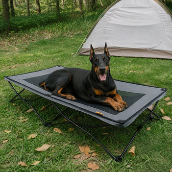 Lit de camp pour chien lit pour chien surélevé et pliable lit rafraîchissant pour animaux - Urban Roaming