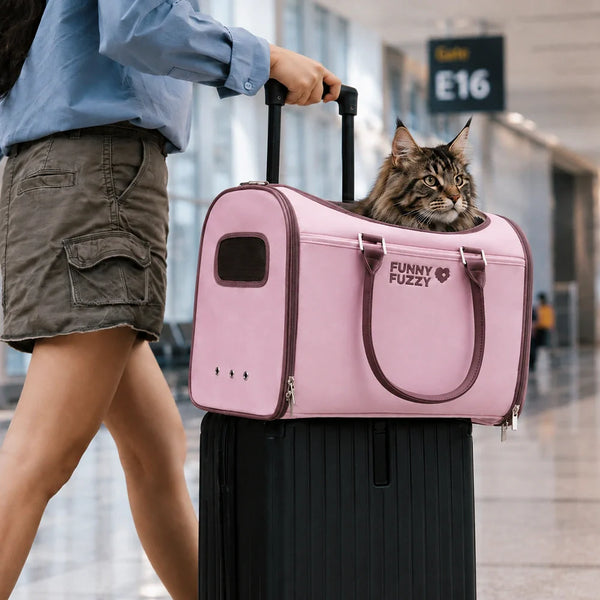 Transporteurs souples conformes aux règles des compagnies aériennes pour chats - Urban Roaming