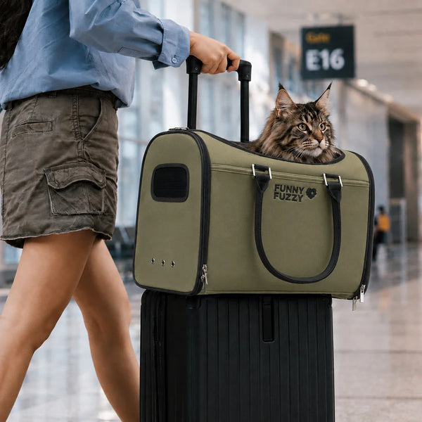 Transporteurs souples conformes aux règles des compagnies aériennes pour chats - Urban Roaming