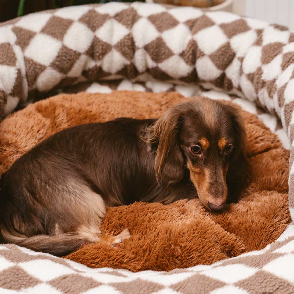 Lit pour chien lavable classique Argyle Bolster Donut - Cozy Haven