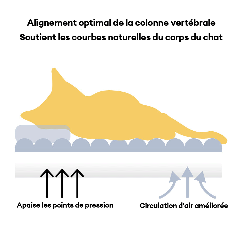 Lit orthopédique pour chat en peluche à motifs écossais - Confort douillet