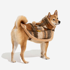Poncho chaud à carreaux classique pour homme et chien - Compagnons festifs