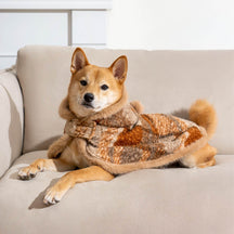 Poncho chaud à carreaux classique pour homme et chien - Compagnons festifs