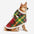 Poncho chaud à carreaux classique pour homme et chien - Compagnons festifs