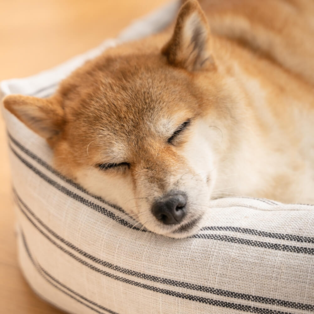 Lit pour chien respirant à rayures classiques toutes saisons