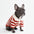 Chemises Polo Rayées Classiques pour Chiens