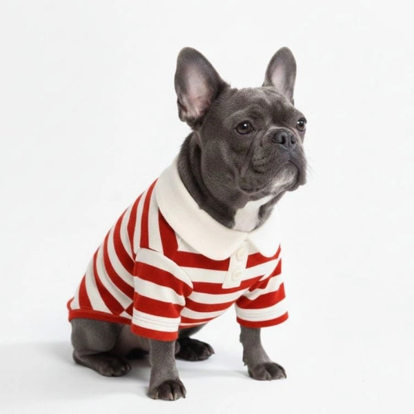 Chemises Polo Rayées Classiques pour Chiens