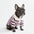 Chemises Polo Rayées Classiques pour Chiens