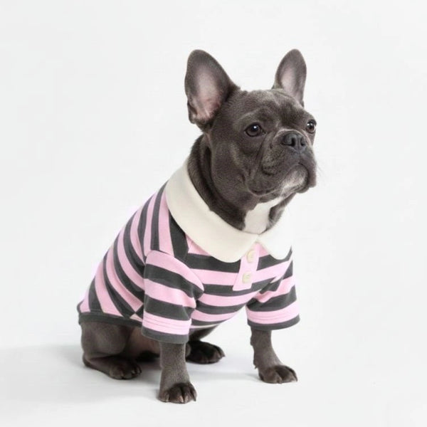 Chemises Polo Rayées Classiques pour Chiens