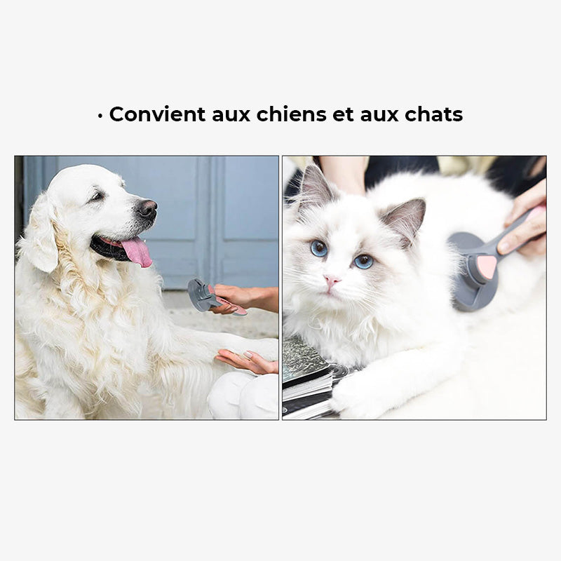 Peigne et brosse pour animaux cliquer sur facile à nettoyer