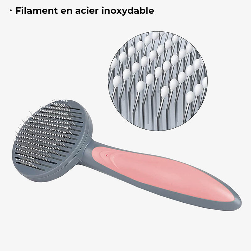 Peigne et brosse pour animaux cliquer sur facile à nettoyer