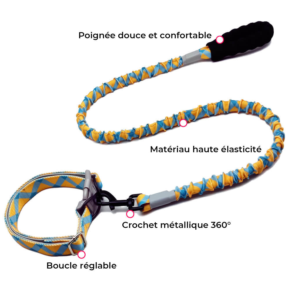 Collier et laisse pour grand chien coloré à haute élasticité