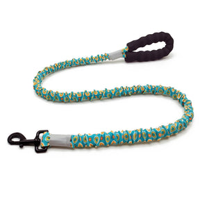 Collier et laisse pour grand chien coloré à haute élasticité