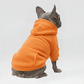 Vêtements pour Chien Sportifs Multicolores Automne Hiver à Poches et Jambes Doubles