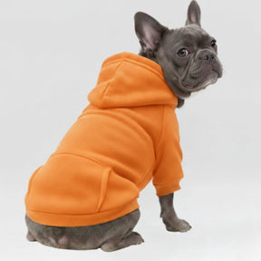 Vêtements pour Chien Sportifs Multicolores Automne Hiver à Poches et Jambes Doubles