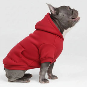 Vêtements pour Chien Sportifs Multicolores Automne Hiver à Poches et Jambes Doubles
