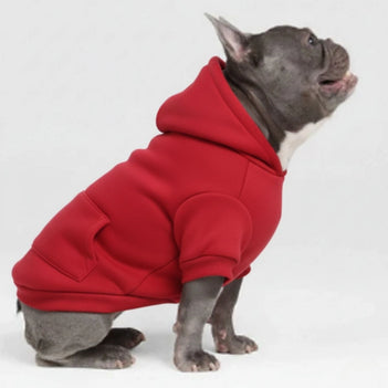 Vêtements pour Chien Sportifs Multicolores Automne Hiver à Poches et Jambes Doubles