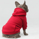 Vêtements pour Chien Sportifs Multicolores Automne Hiver à Poches et Jambes Doubles
