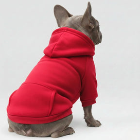 Vêtements pour Chien Sportifs Multicolores Automne Hiver à Poches et Jambes Doubles