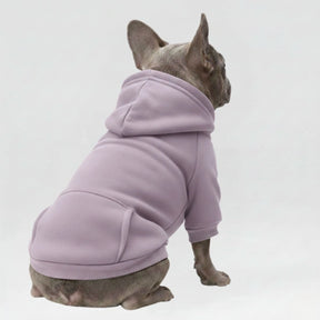 Vêtements pour Chien Sportifs Multicolores Automne Hiver à Poches et Jambes Doubles