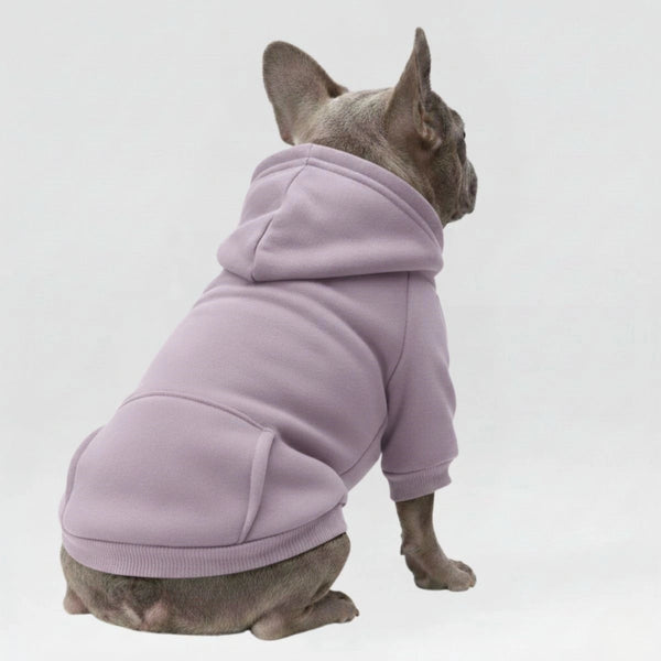 Vêtements pour Chien Sportifs Multicolores Automne Hiver à Poches et Jambes Doubles