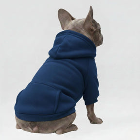 Vêtements pour Chien Sportifs Multicolores Automne Hiver à Poches et Jambes Doubles