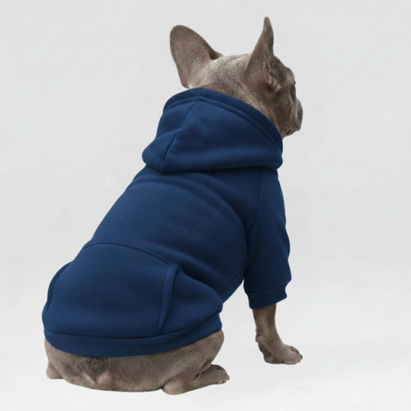 Vêtements pour Chien Sportifs Multicolores Automne Hiver à Poches et Jambes Doubles