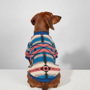 Pull rayé coloré pour chien – Vêtements d'hiver confortables et tendance