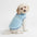 Gilet confortable et élégant pour chien - Parfait pour les promenades hivernales