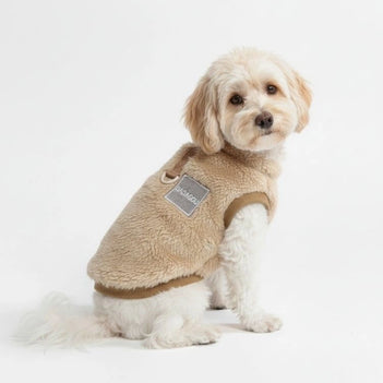 Gilet confortable et élégant pour chien - Parfait pour les promenades hivernales