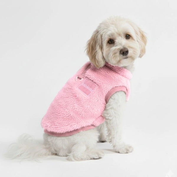 Gilet confortable et élégant pour chien - Parfait pour les promenades hivernales
