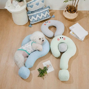 Coussin en soie glacée à refroidissement point d'interrogation