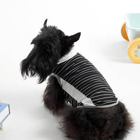 Gilet Refroidissant Stripe en Soie Glacée Coloré pour Chien