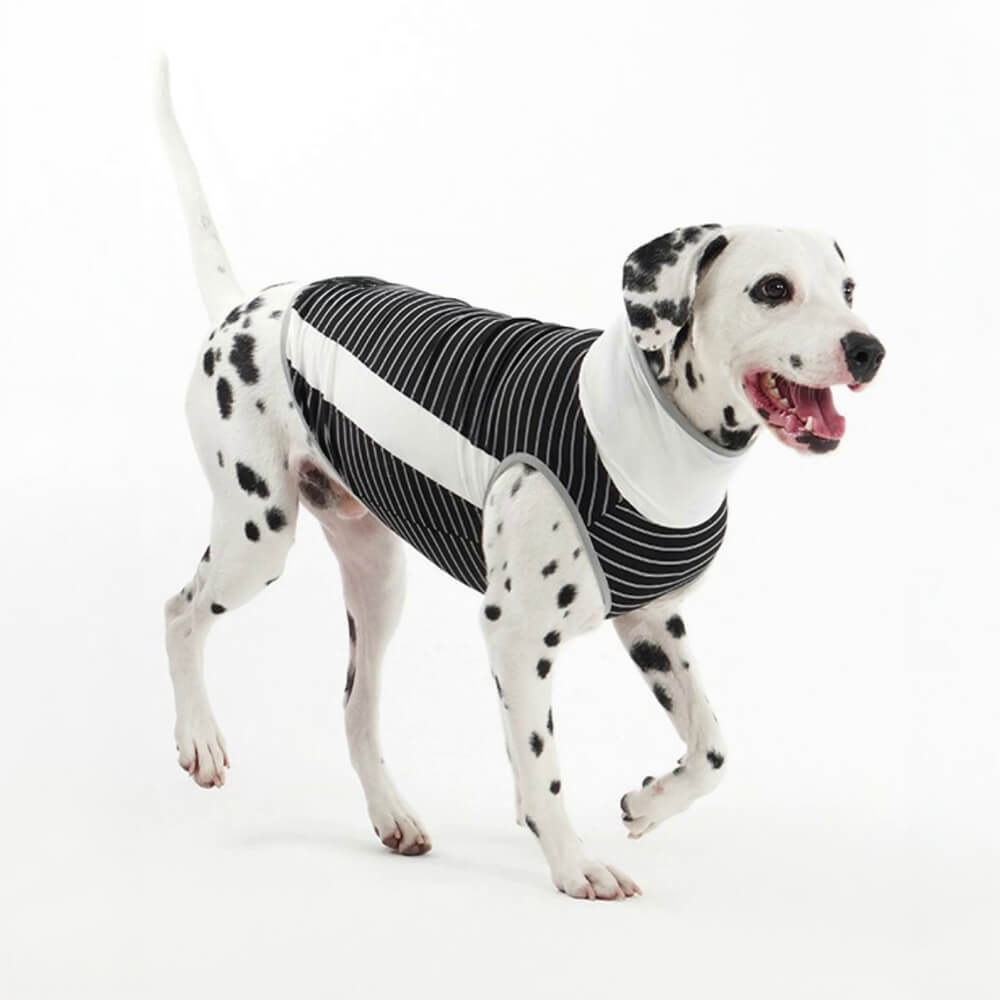 Gilet Refroidissant Stripe en Soie Glacée Coloré pour Chien