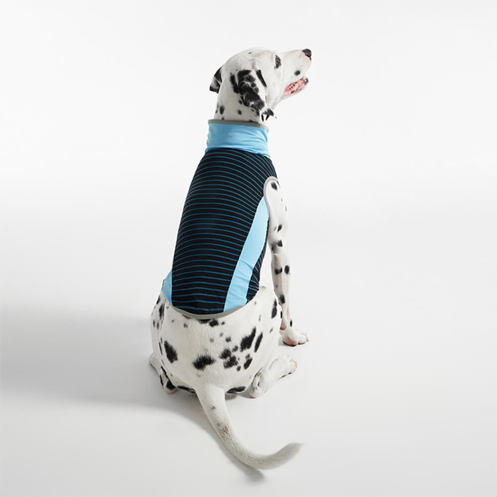 Gilet Refroidissant Stripe en Soie Glacée Coloré pour Chien